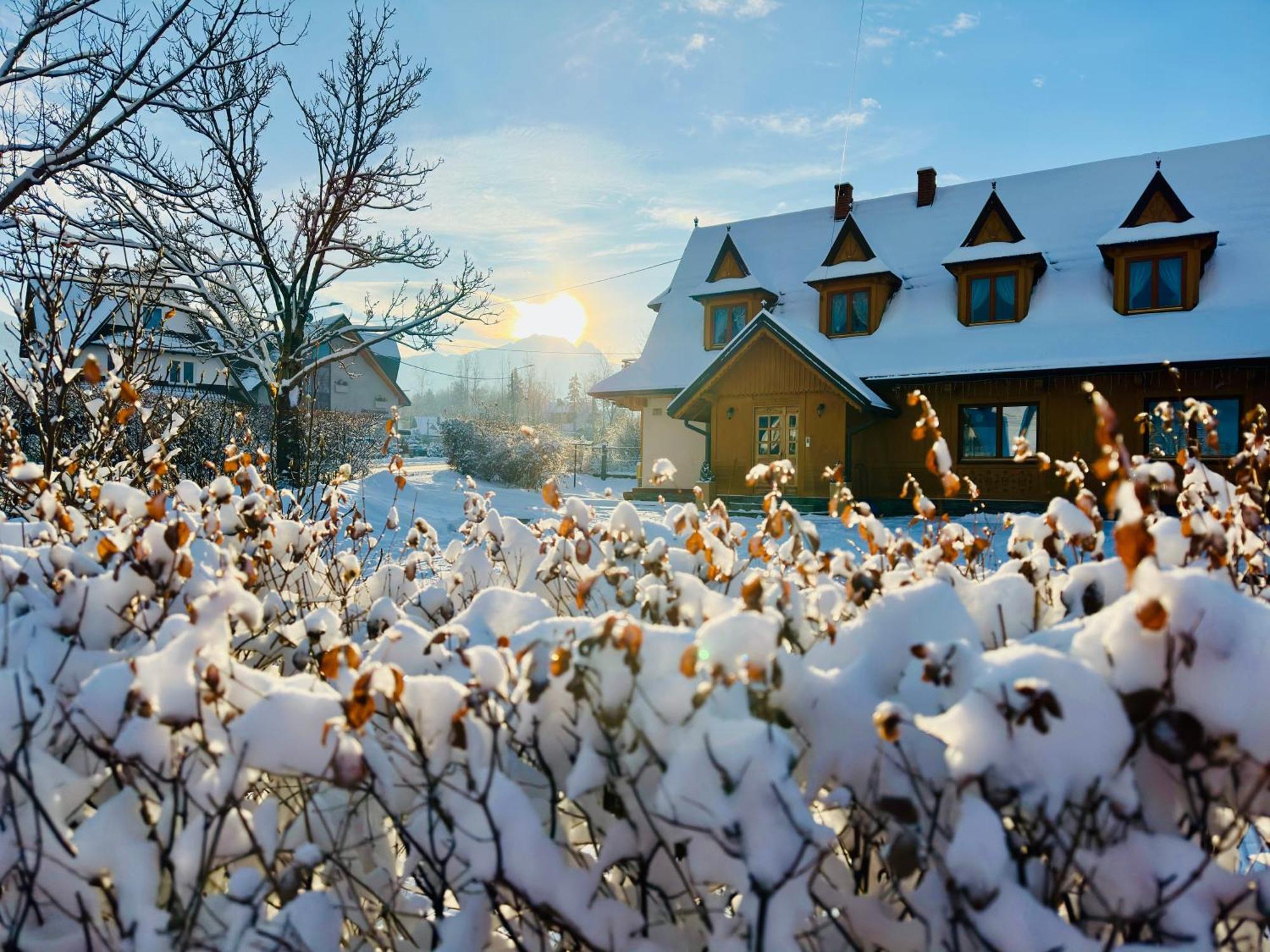 Pokoje Goscinne Siodemka Zakopane Buitenkant foto